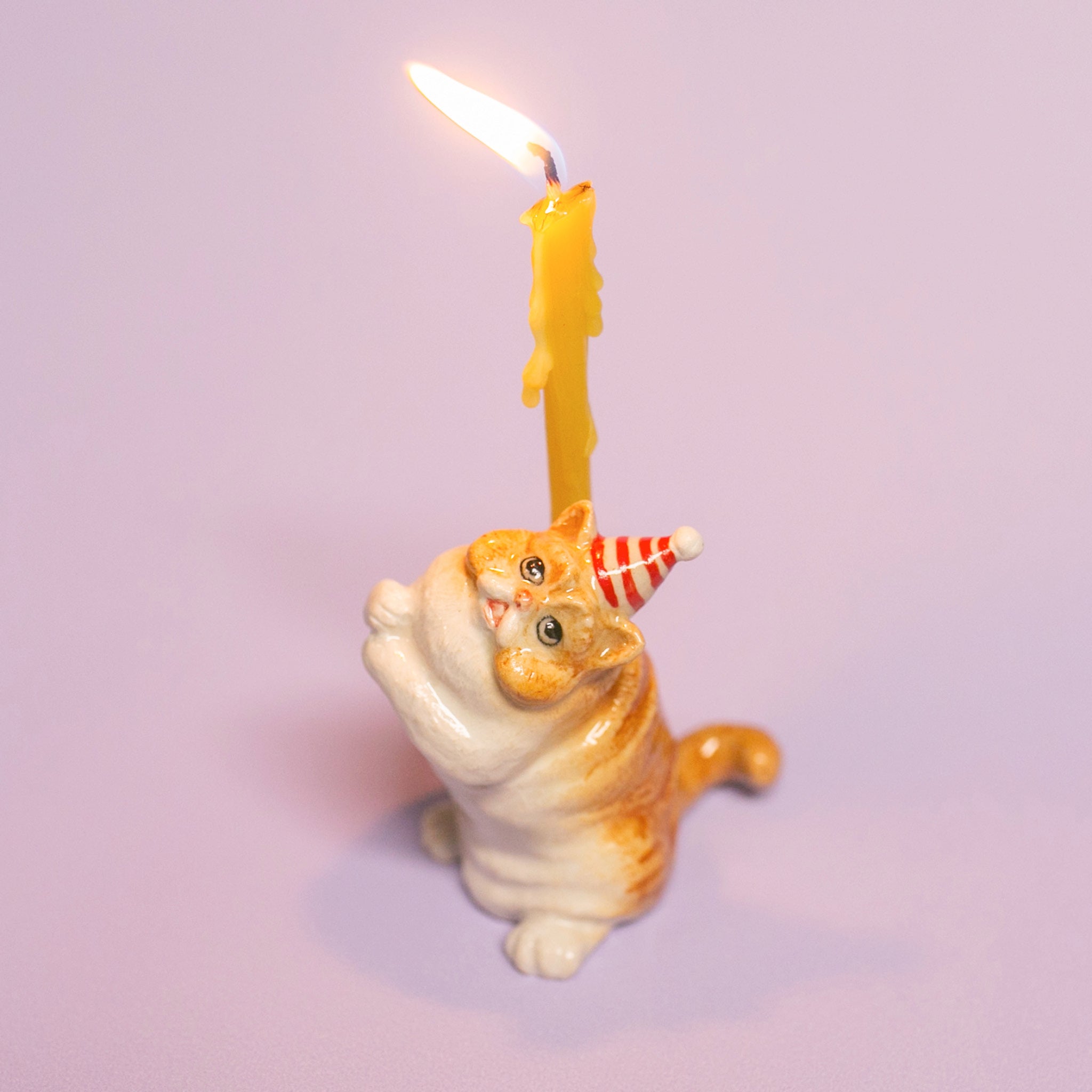 Exotic Shorthair Cat Cake Topper