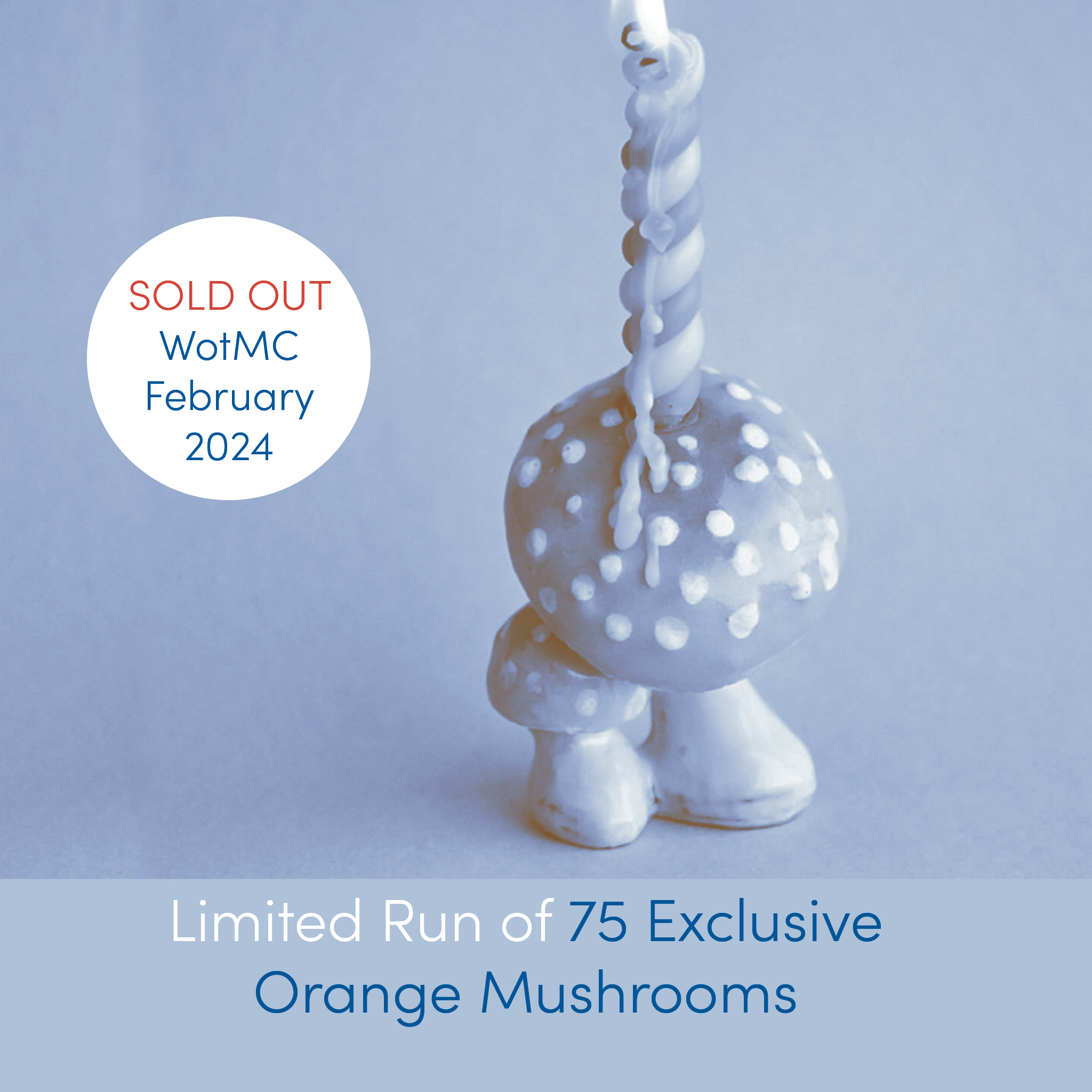 February 2024 | Orange Mushroom | WotMC Exclusive