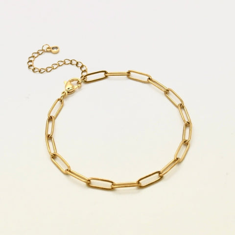 Golden Steel Paperclip Charm Bracelet - Camp Hollow