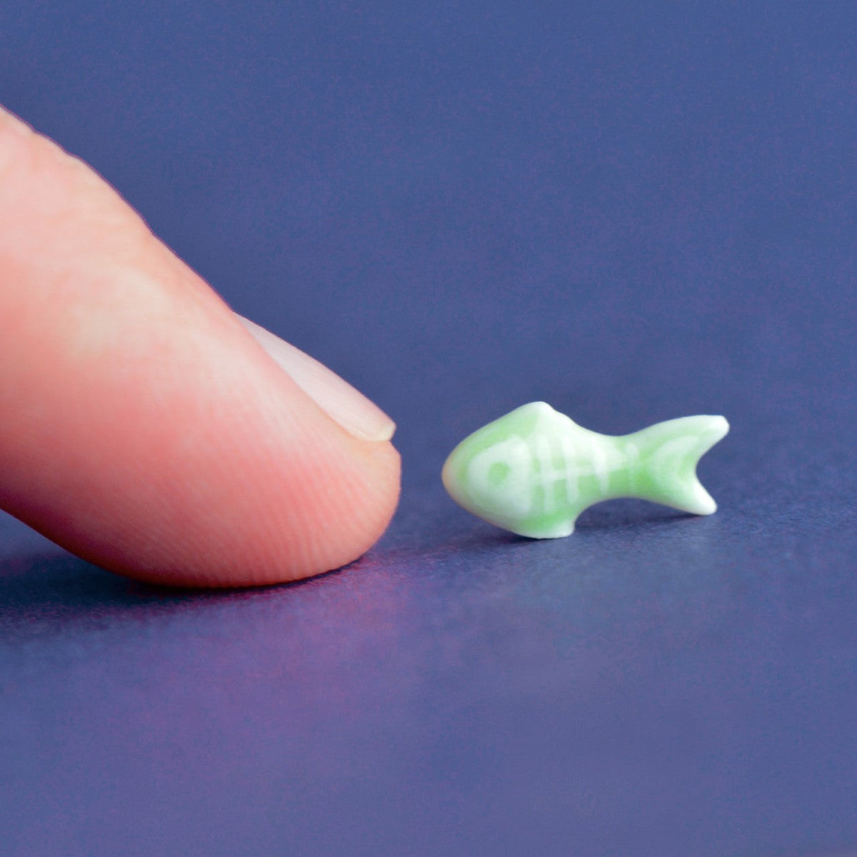 World's Tiniest XRay Fish Figurine Camp Hollow