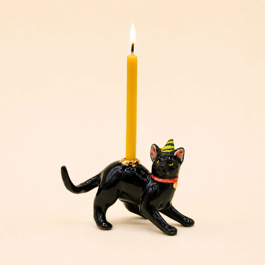 Are Black Cats lucky or unlucky?