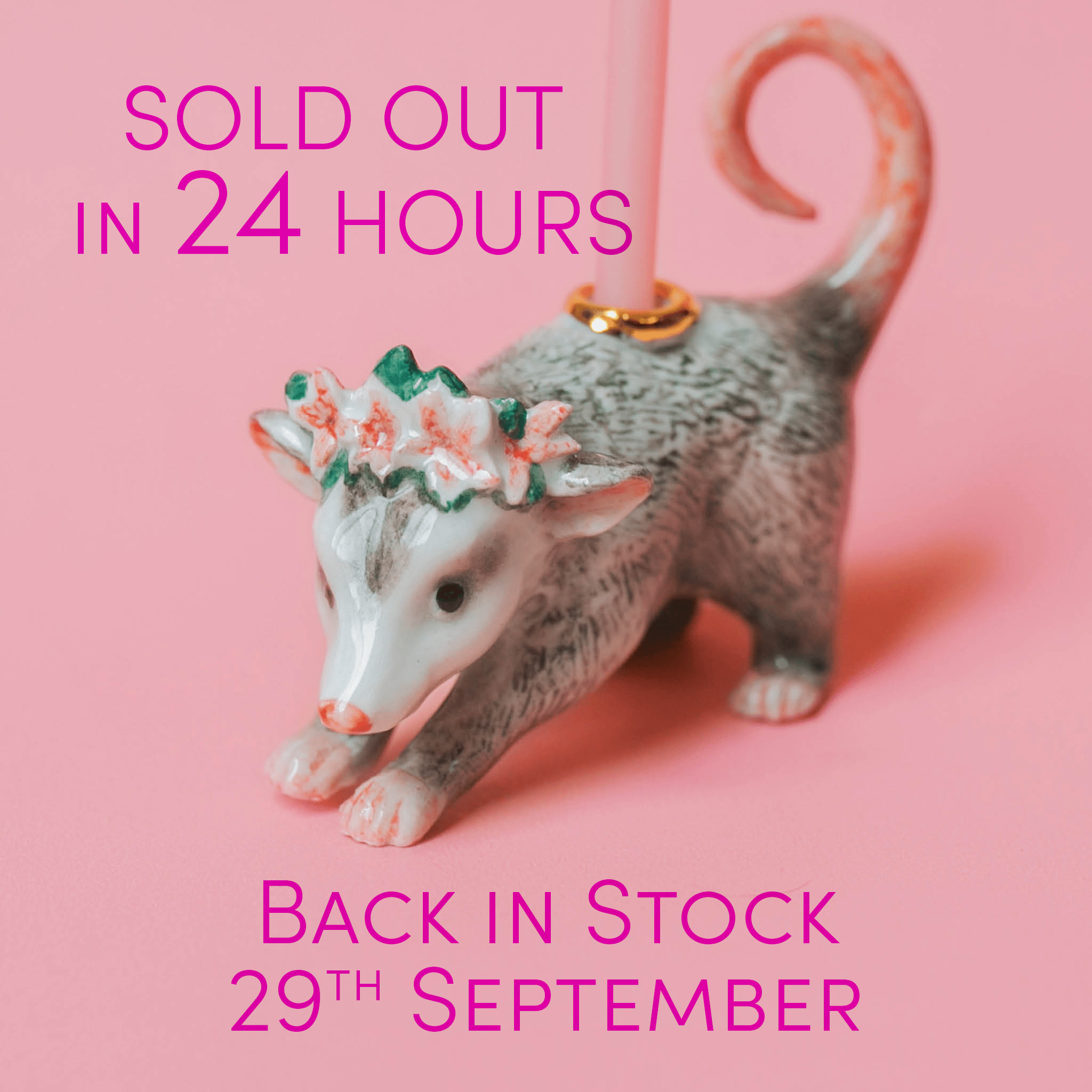 The Possum Cake Topper Restock Is Coming September 29th 🐾