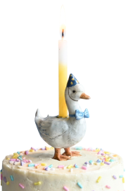 Cake Toppers