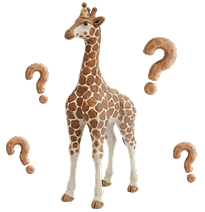 Questions & Answers