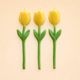 Yellow Tulip Candle Set (x3)