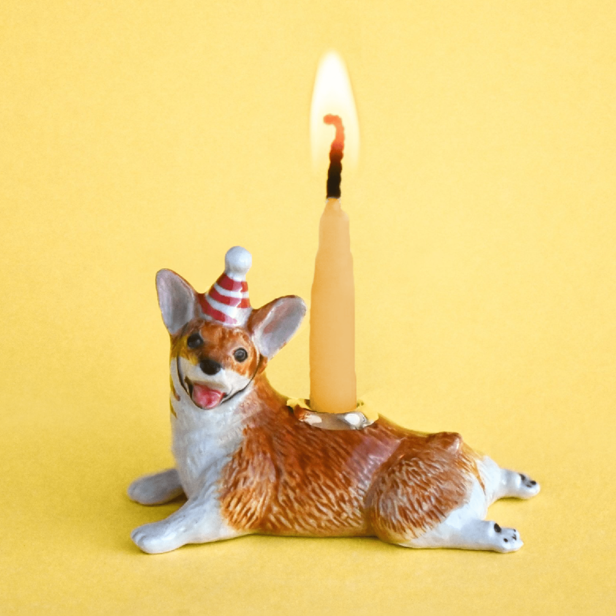 Corgi Dog Cake Topper | Camp Hollow Porcelain Party Animal | Ceramic Candle Holder | Party Animal Birthday | Chinese Zodiac