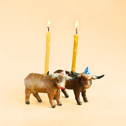 Highland Cow & Bull Set