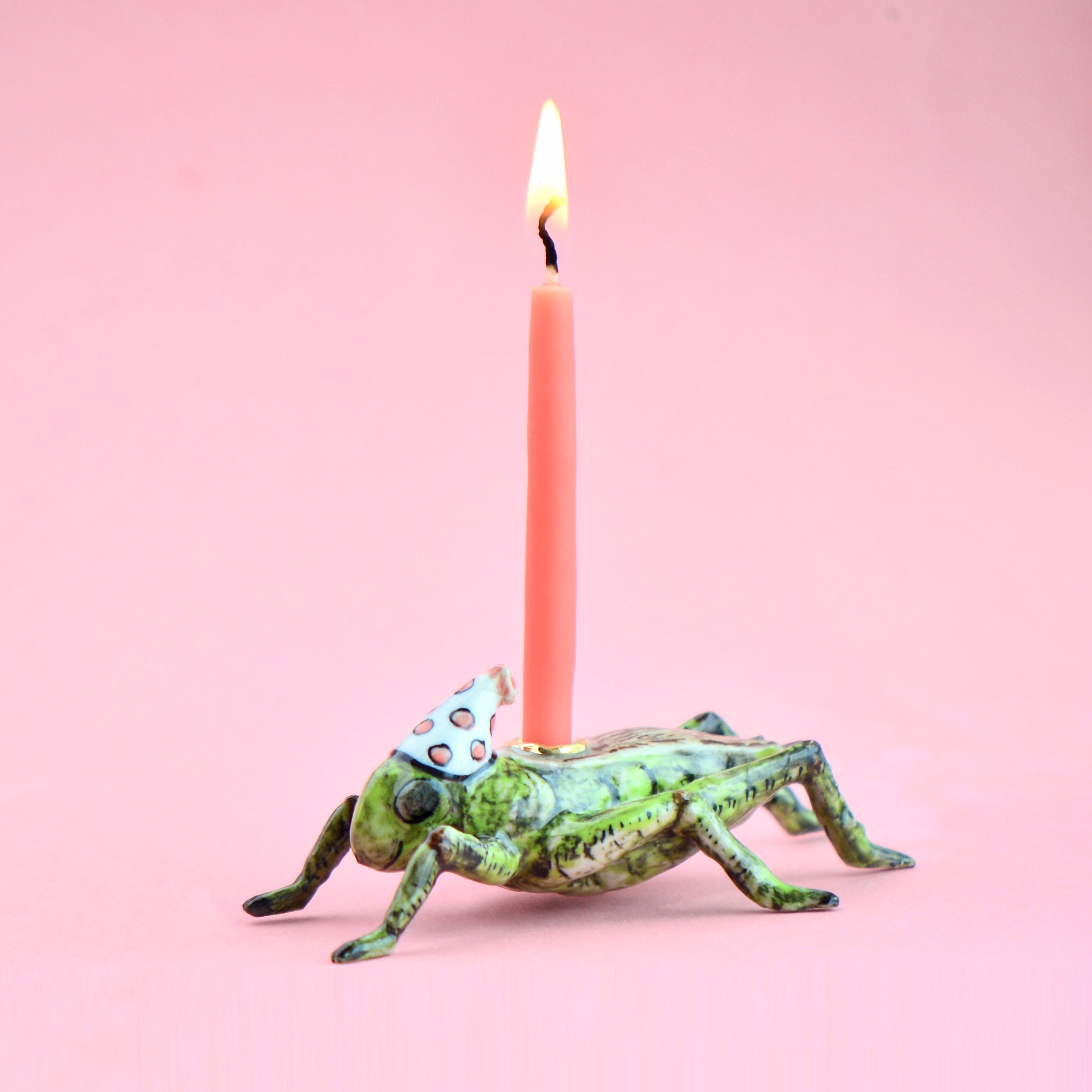 Cricket Cake Topper | Bug Lover Porcelain Birthday Cake Topper