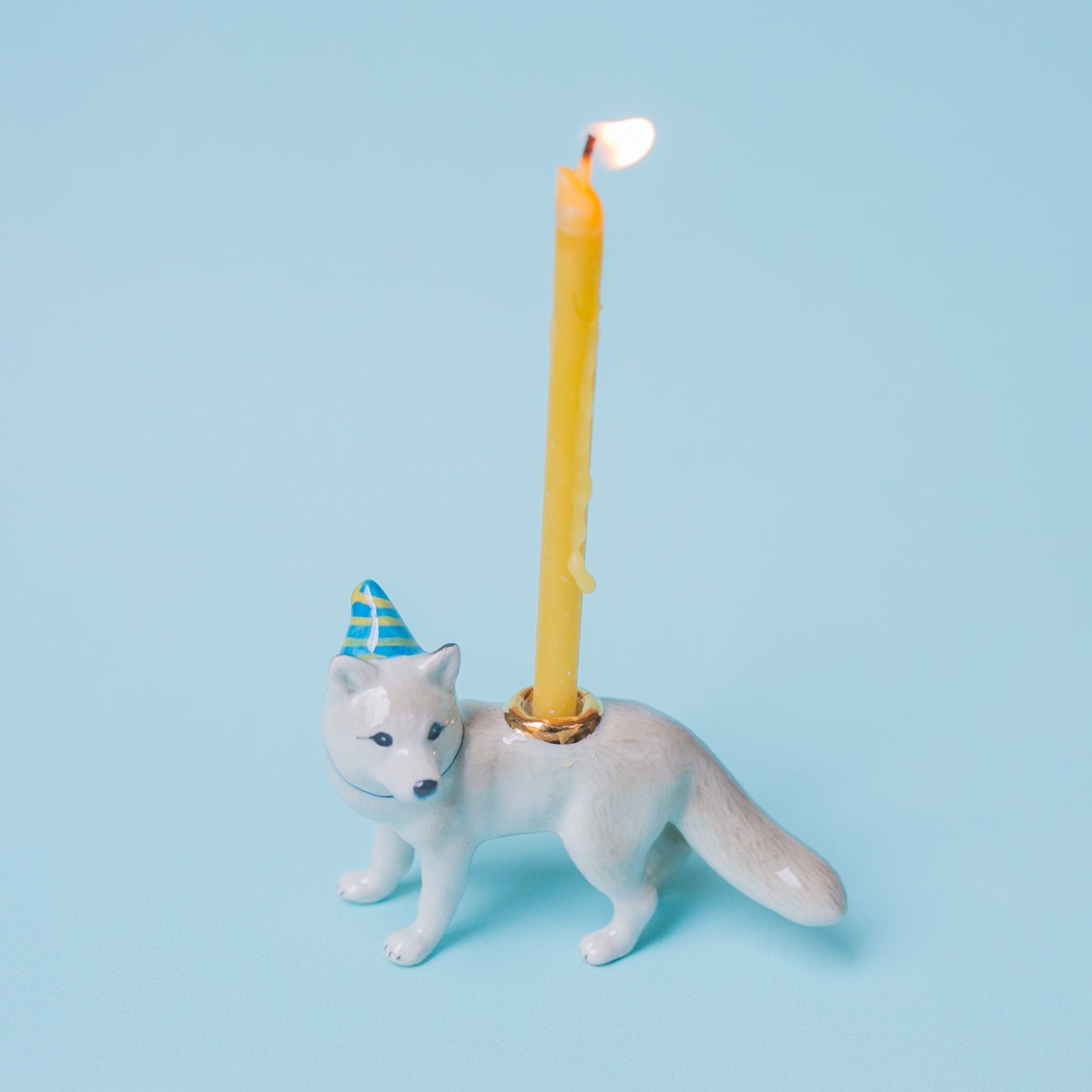 November 2025 | Arctic Fox | WotMC Exclusive