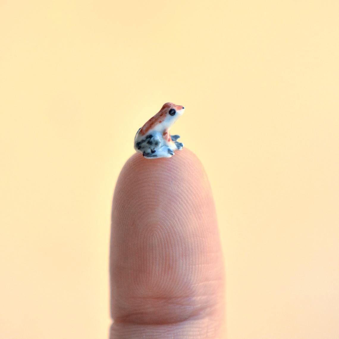 Worlds Tiniest Poison Dart Frog Figurine -  Camp Hollow