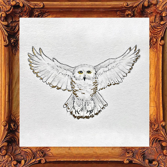 snowy owl with frame