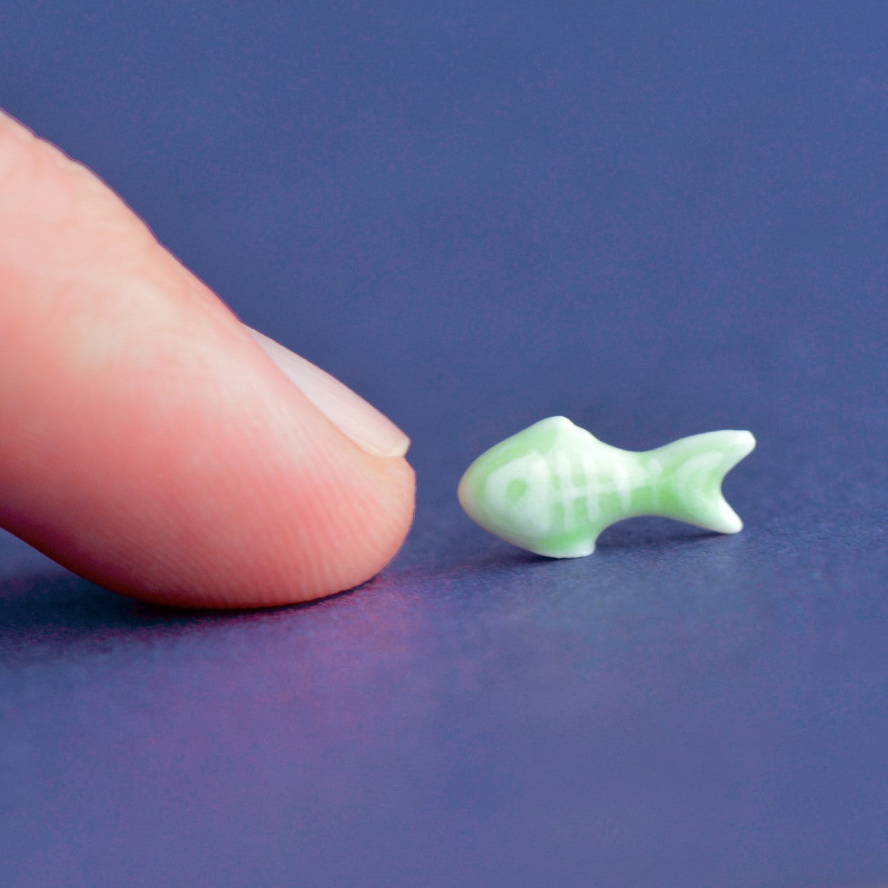 🎁 World's Tiniest X-Ray Fish Figurine (100% off)