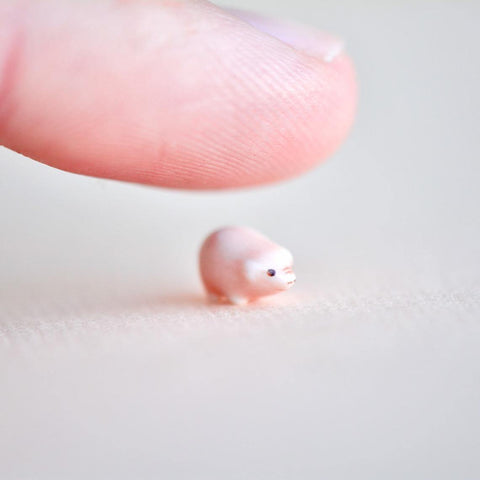 🎁 Worlds Tiniest Pig Figurine (100% off)
