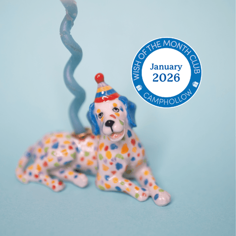 Wish of the Month Club | Limited Edition Subscription