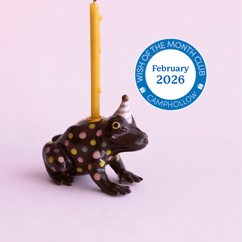 Wish of the Month Club | Limited Edition Subscription