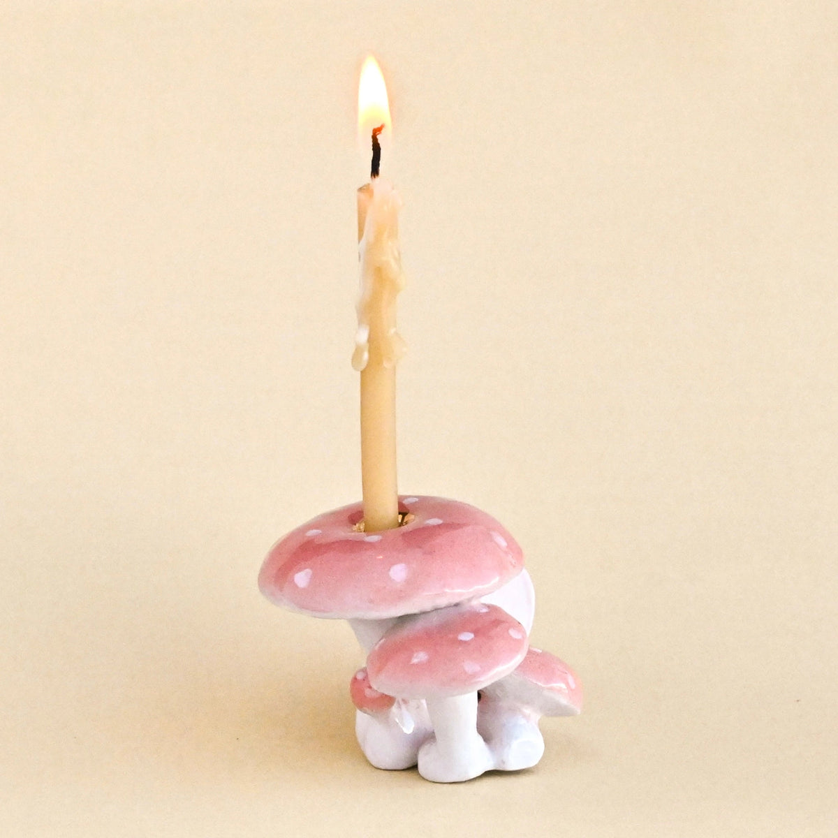 Wish of the Month Club | Limited Edition Subscription