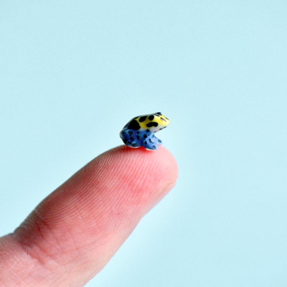 Worlds Tiniest Dart Frog Animal Figurine -  Camp Hollow