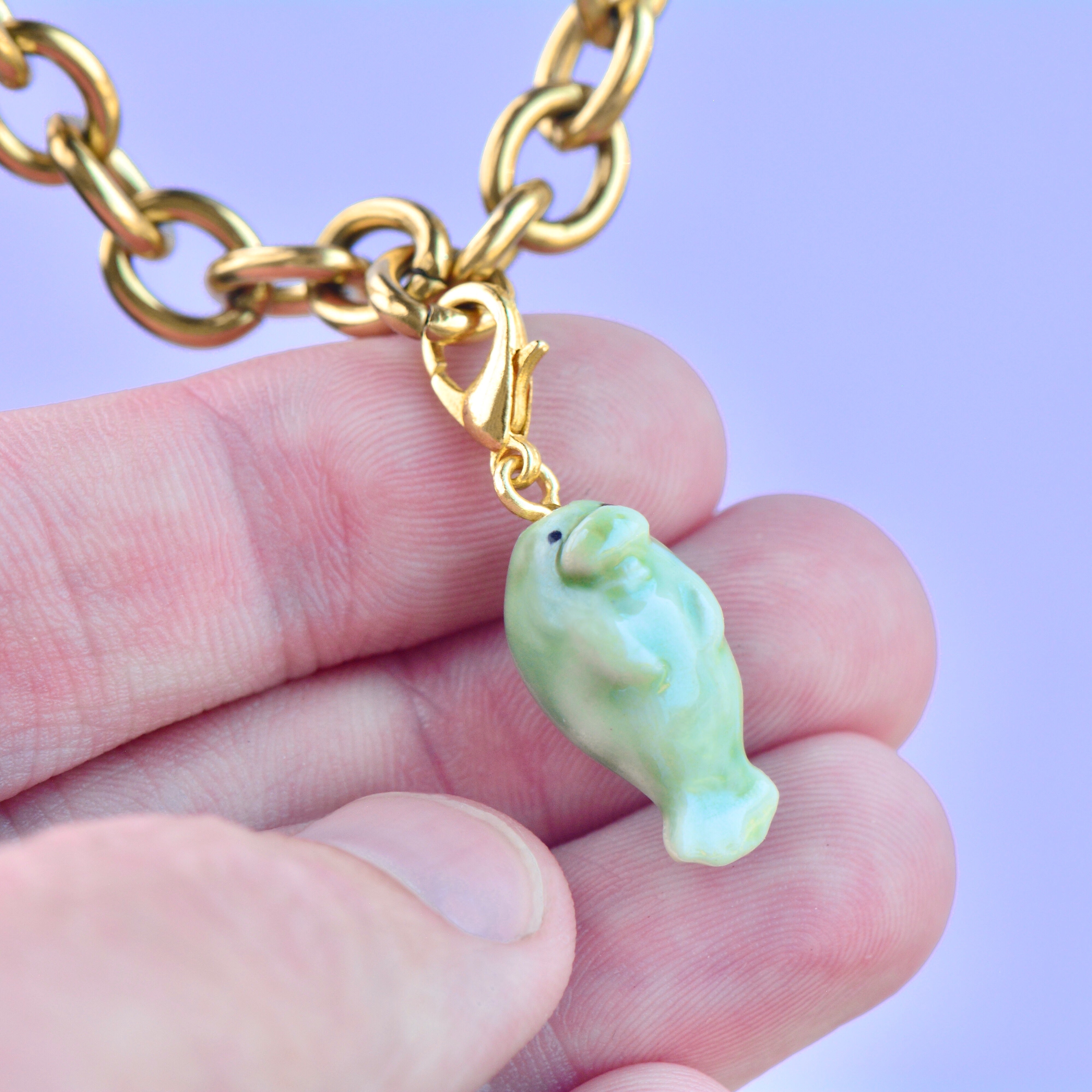 Manatee Charm