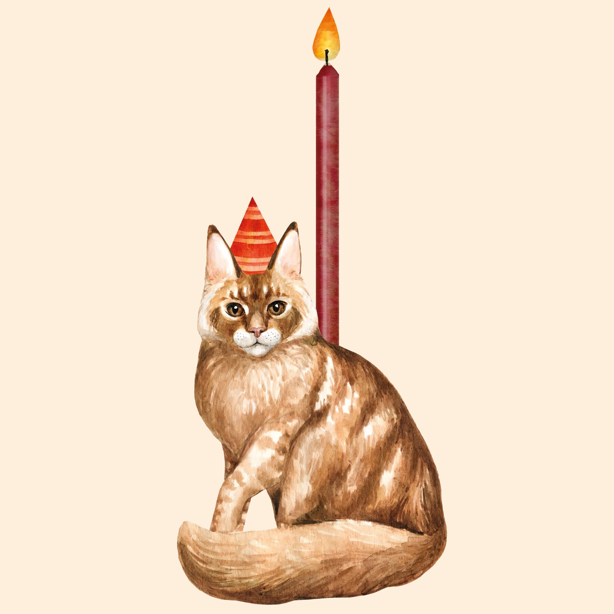 Maine Coon Cat Cake Topper